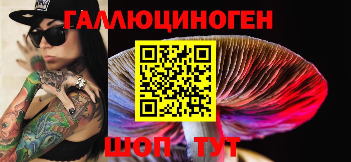 Клинцы  Галлюциногенные грибы Psilocybine cubensis  закладки  Вход с VPN 